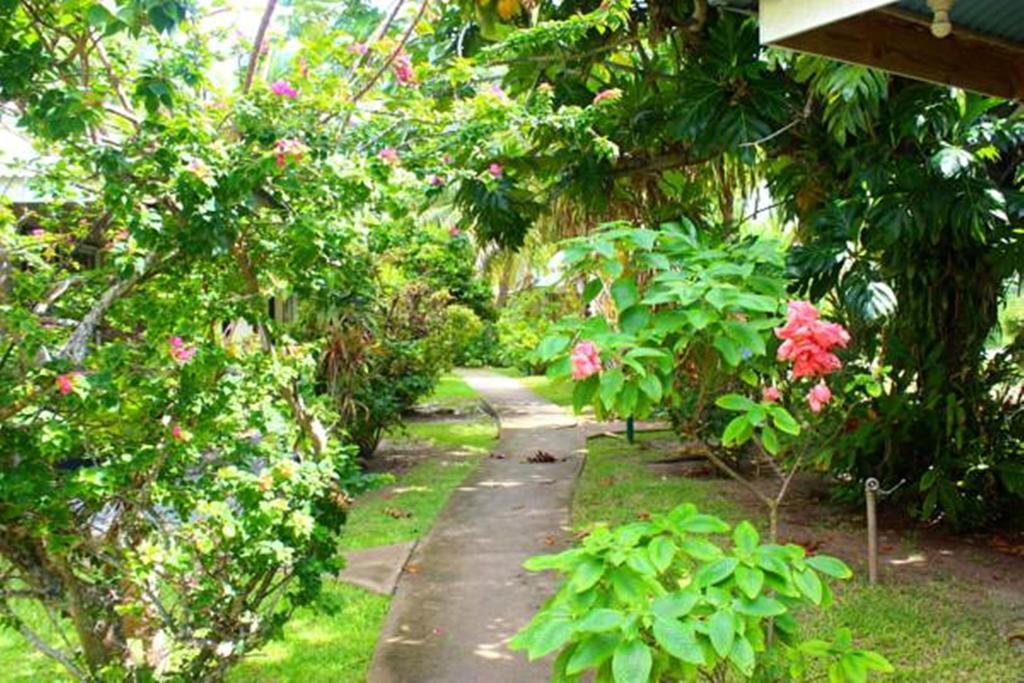 Pension Fare Maeva Huahine Zimmer foto